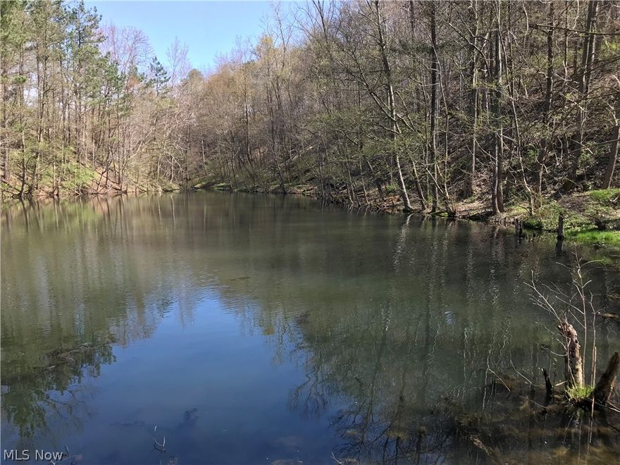 Here is an excellent opportunity to buy your hunting land for the upcoming season. This 150.2 acres is all wooded and has an abundance of Whitetail, Turkey and other wildlife.   The acreage creates some excellent sites for a weekend get-a-way cabin or a secluded building site. The property will be offered in 2 parcels, ranging in size from 42.1 to 108.1 acres. A large portion of the gas and oil rights will transfer on Parcel 2 and none on Parcel 1.  Feel free to walk the property at your convenience and risk prior to the auction.