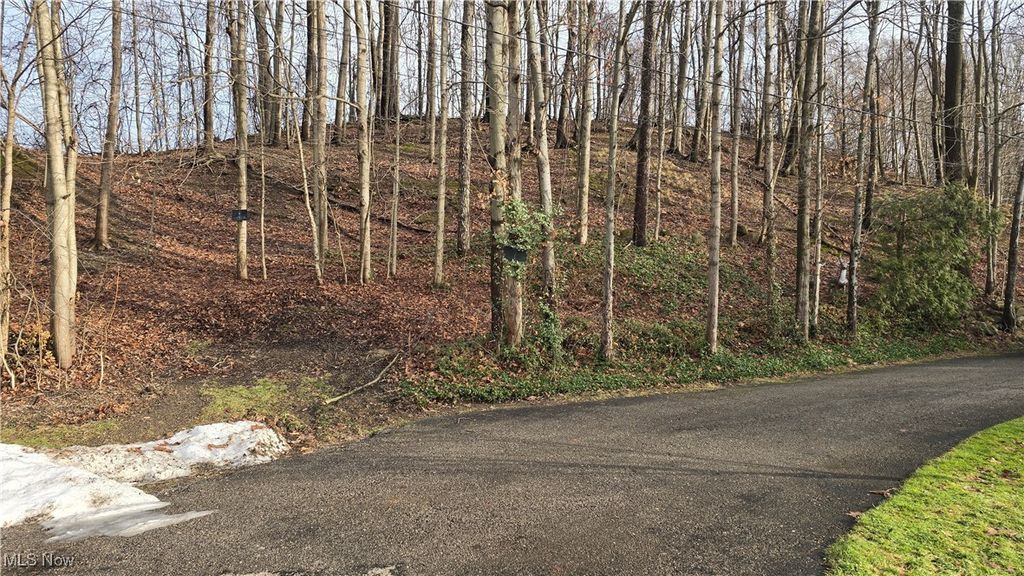 Photo of 2786 Shadley Street, Streetsboro, OH 44241 (MLS # 5180251)