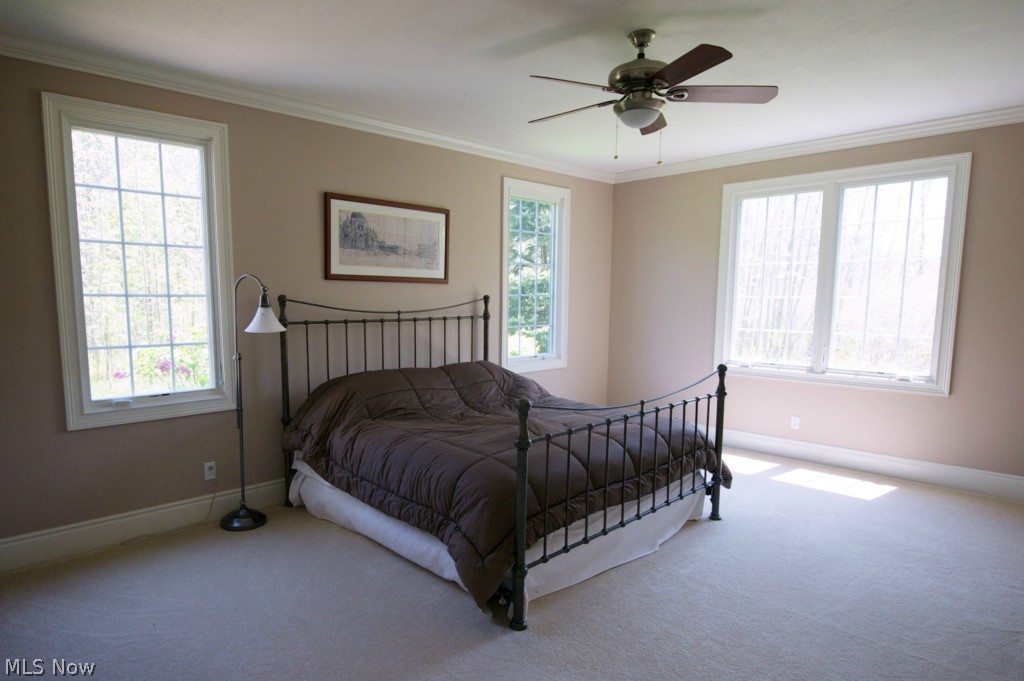 Eden Park - Residential