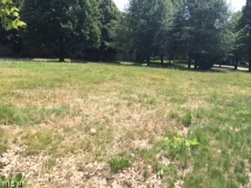 This lot once had a house on it. All utilities are run, and easily built upon. Great thing about this neighborhood, there is no HOA rules or fees. There is no minimum build size, and there once was a home there, so all utilities are run and ready to go! In an area of nice homes. All homes photographed are not for sale, and are not on this lot. This lot is empty flat and ready to build on. A unique opportunity to build and save on clearing costs, sloping, utility costs etc. Corner lot at Wolf & Tolbert.