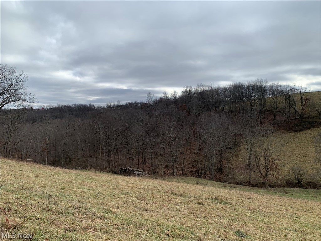 Western Liberties Add - Land