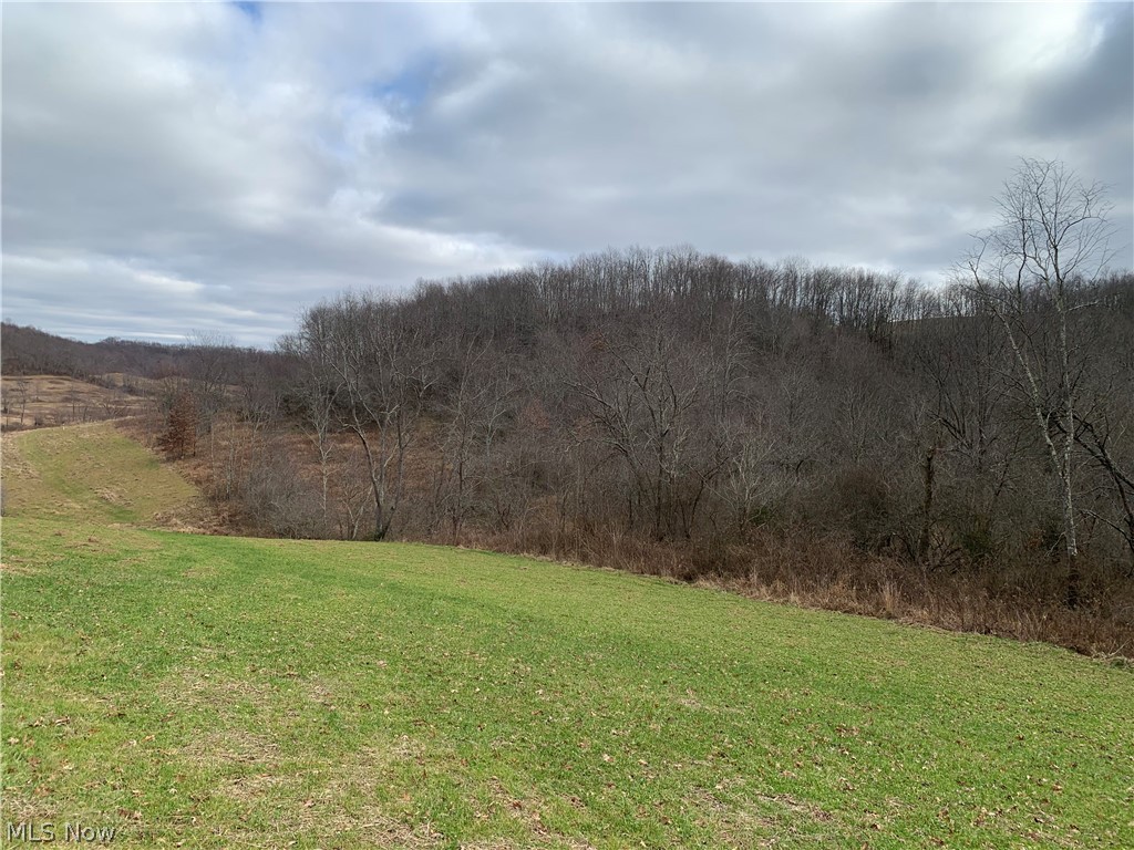 Western Liberties Add - Land