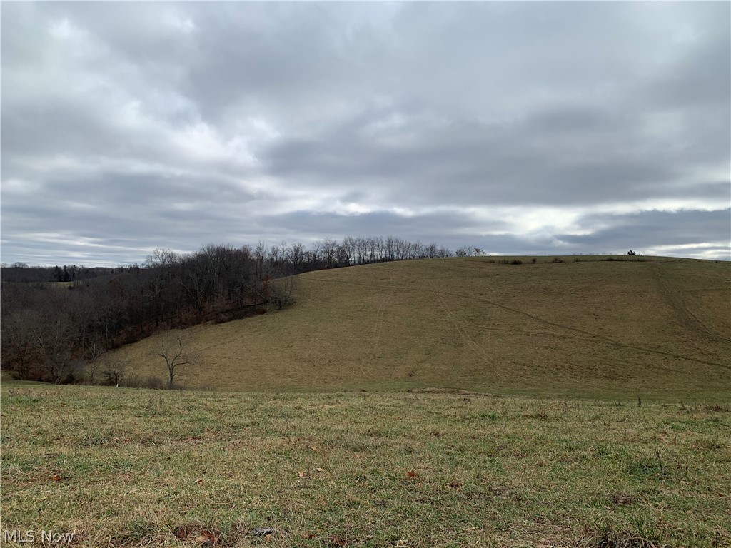 Western Liberties Add - Land