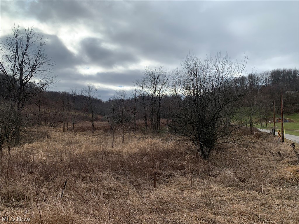 Western Liberties Add - Land