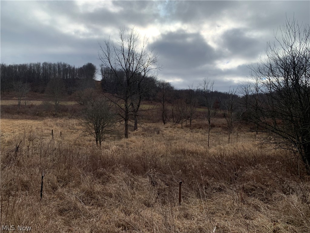 Western Liberties Add - Land