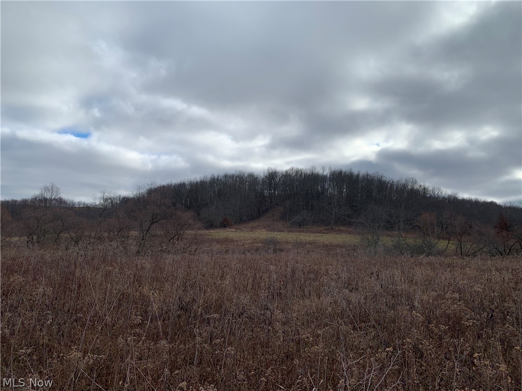 Western Liberties Add - Land