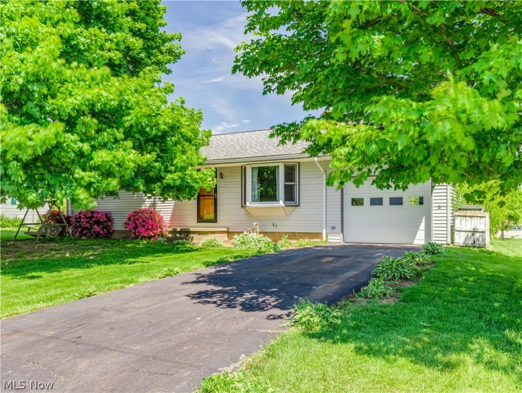 Lynndale Allotment - Residential