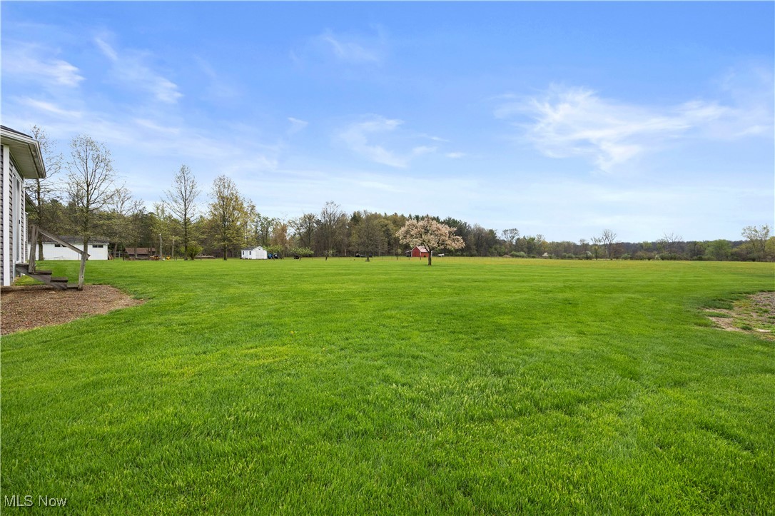5415 Firestone Road, Spencer, Ohio image 40