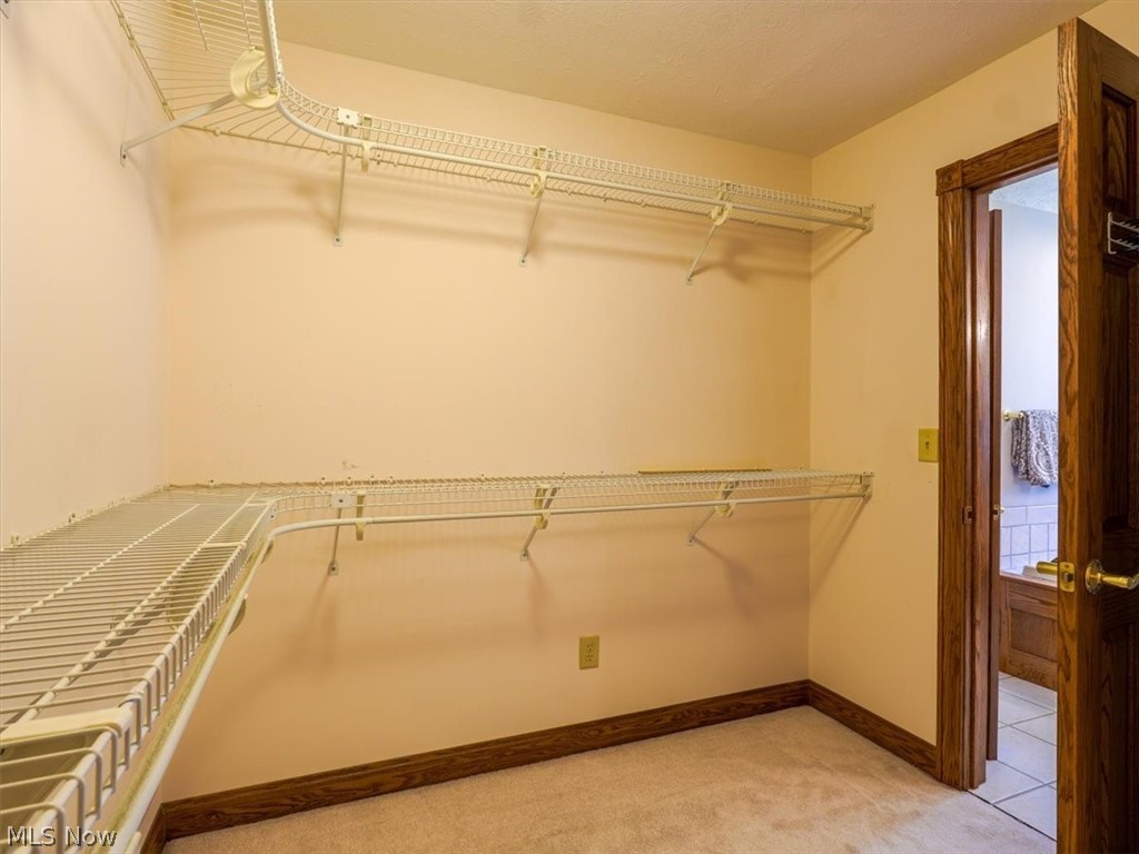 Erio Allotment - Residential