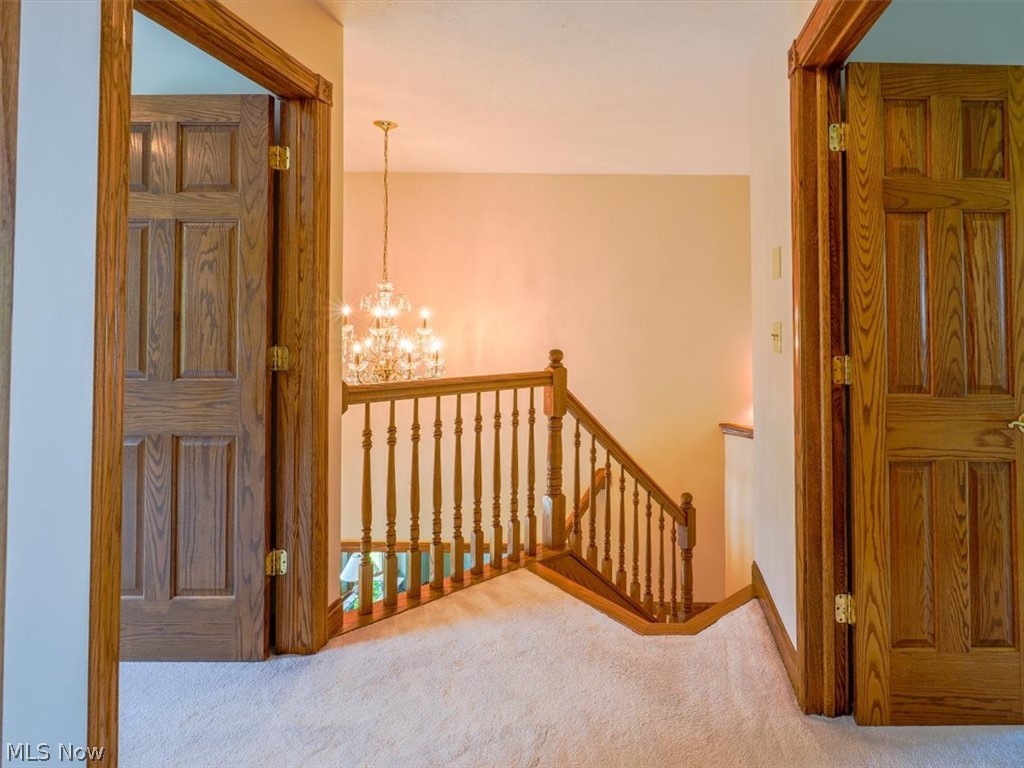 Erio Allotment - Residential