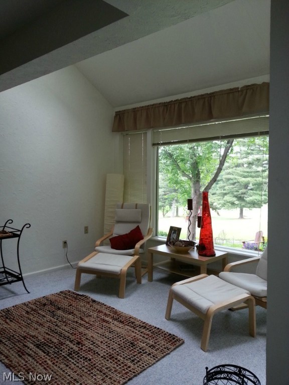 Browder Lane Condo - Residential