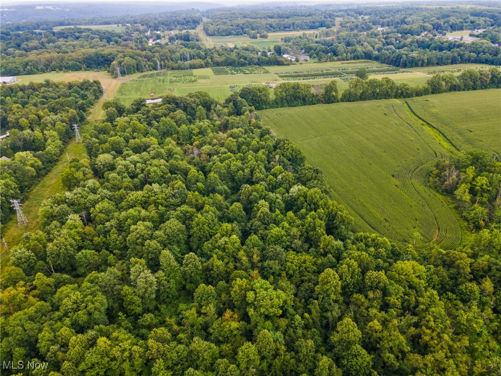 Poland, Ohio 44514, United States, ,Land,Active,240831