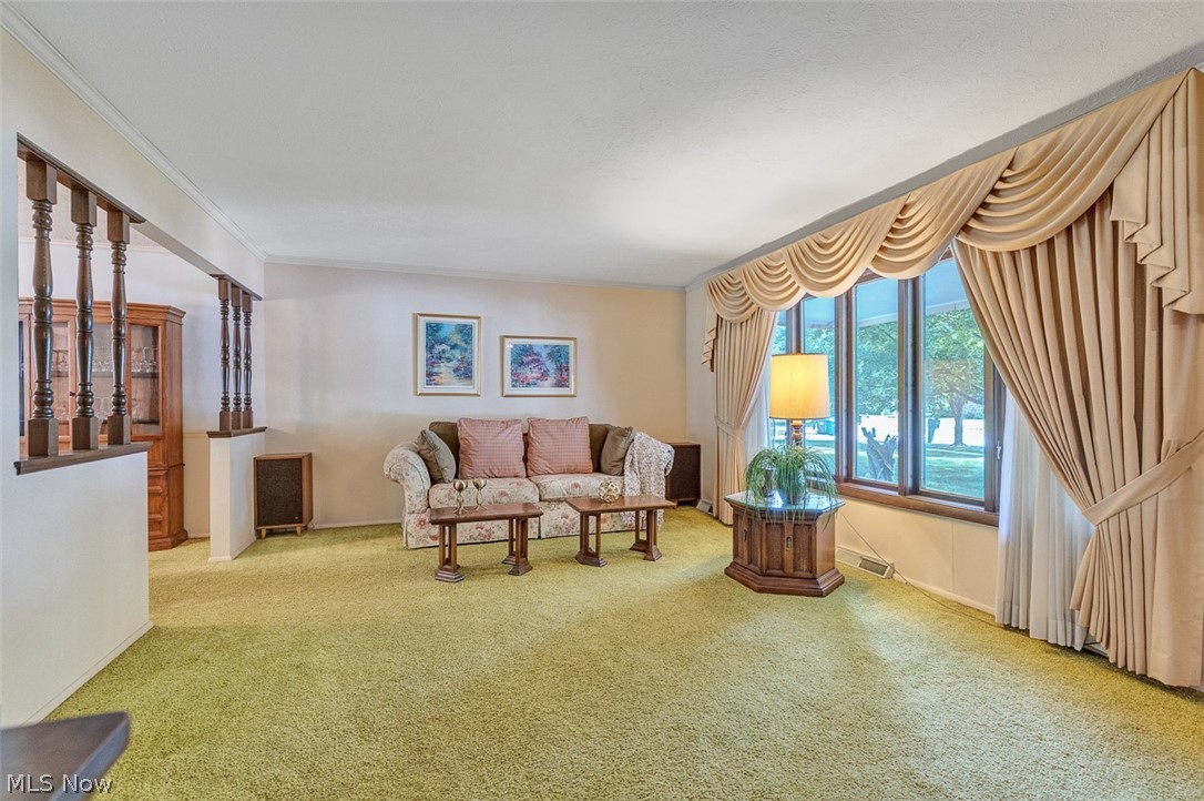 5756 Dorothy Drive