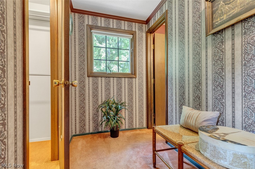 Dorothy Drive Resub - Residential