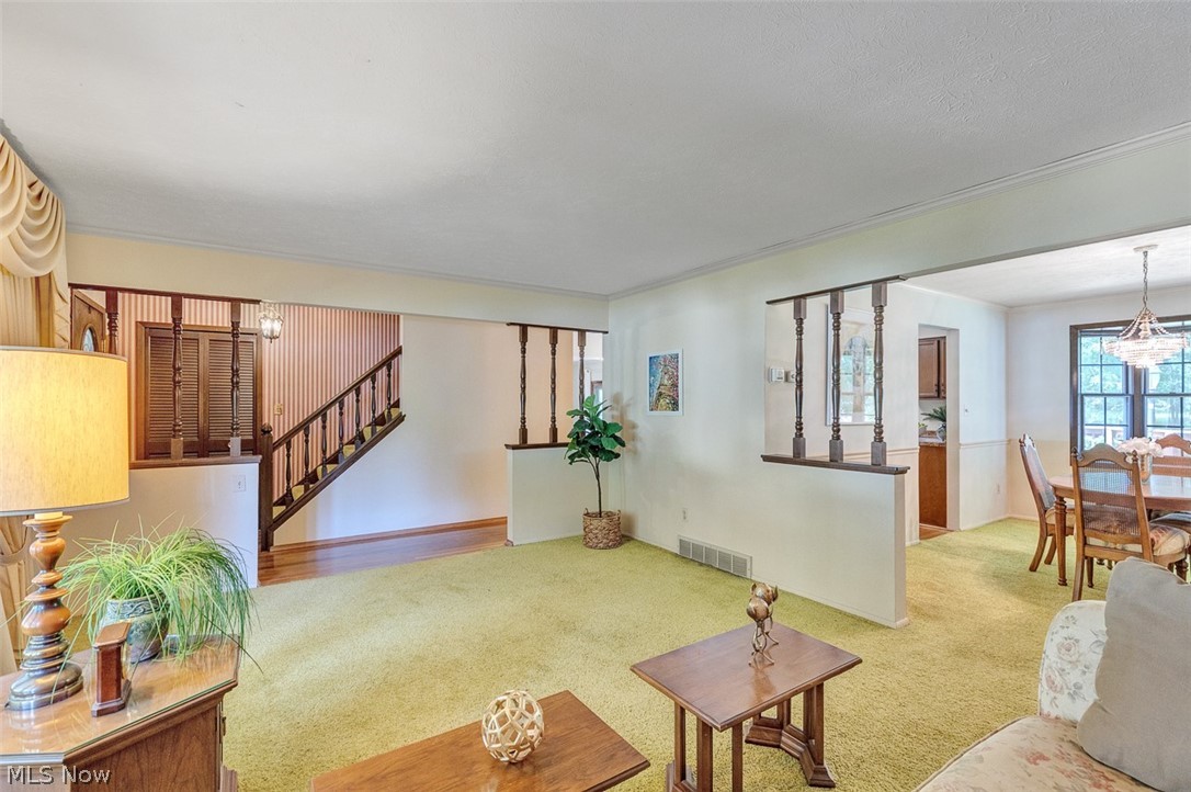 Dorothy Drive Resub - Residential