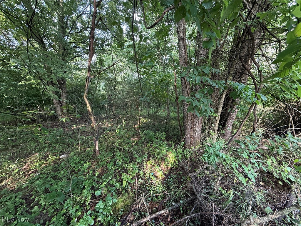 Lake Mohawk 09 - Land