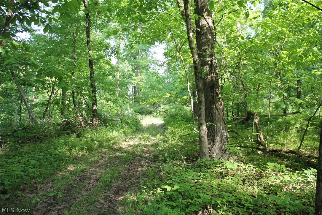 Lake Road, Strasburg, Ohio image 9