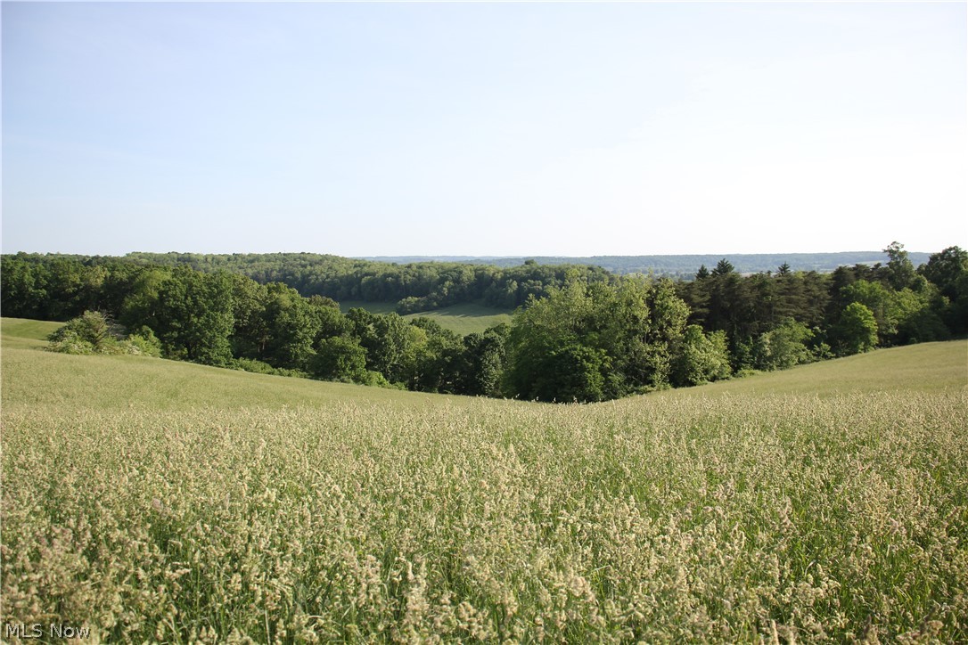 Lake Road, Strasburg, Ohio image 1