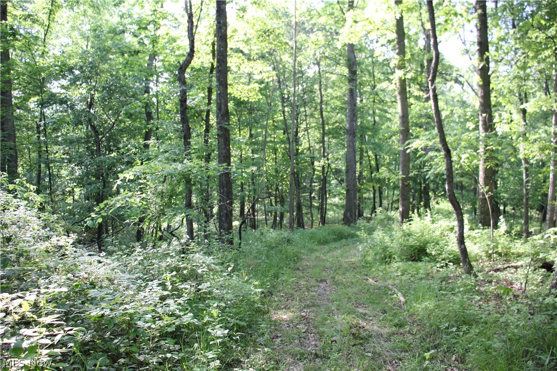 Lake Road, Strasburg, Ohio image 8