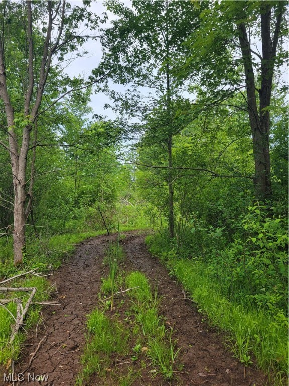 **THIS IS AN AUCTION** Listed amount does not represent a listing price!
Attention wildlife enthusiasts look here offering 27-acre tract. The property is situated in a prime hunting area and is home to an abundance of wildlife. The land has been timber cut with great under cover for wildlife. Whether you’re a seasoned hunter or looking for a cabin site with a peaceful escape!! Don’t miss out on this rare opportunity to own a piece of excellent recreational land. Sells Absolute. Contact us today for more information on this property and the auction. We can’t wait to help you make your outdoor dreams a reality. Live auction is on Monday, August 7 at 6PM. Walk the land at your convenience and at your own risk. Buyers agents welcome.