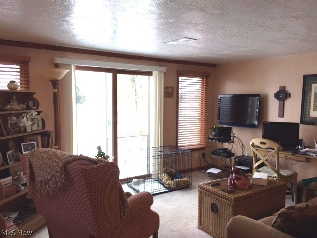 Survey - Residential