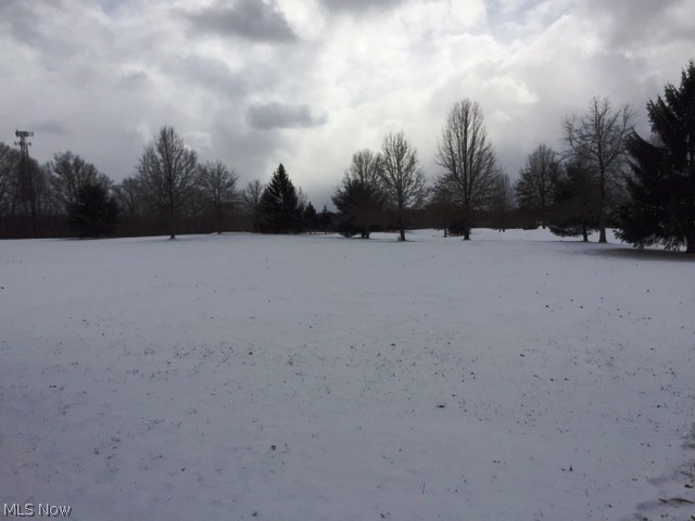 Survey - Residential