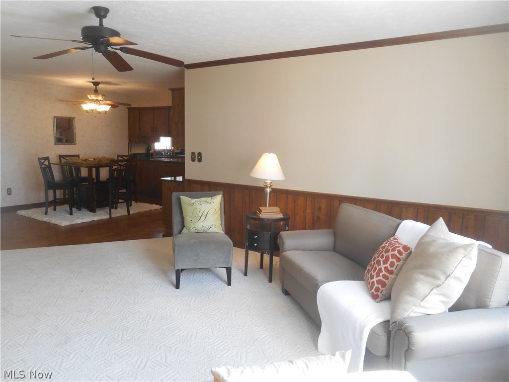 West Moor Allotment 03 - Residential