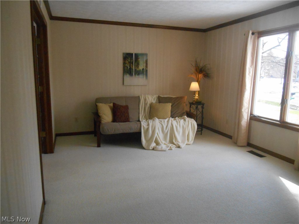 West Moor Allotment 03 - Residential