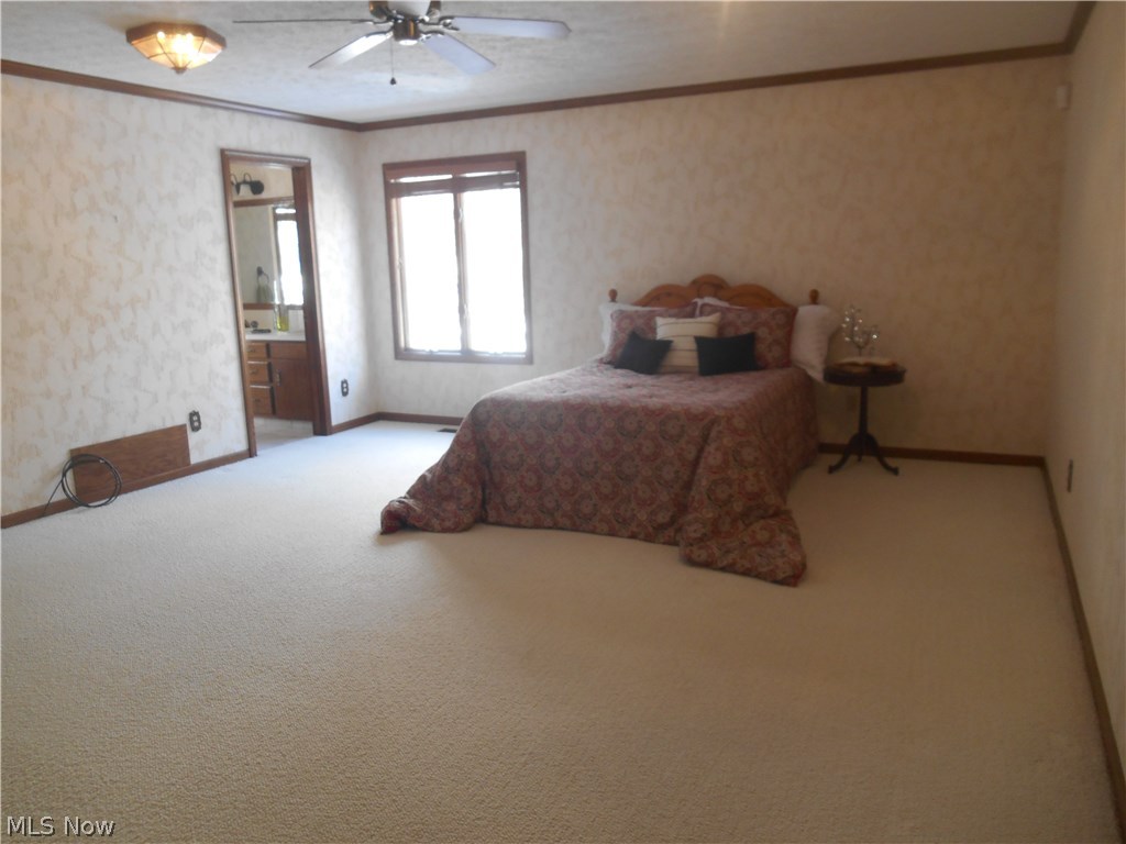 West Moor Allotment 03 - Residential