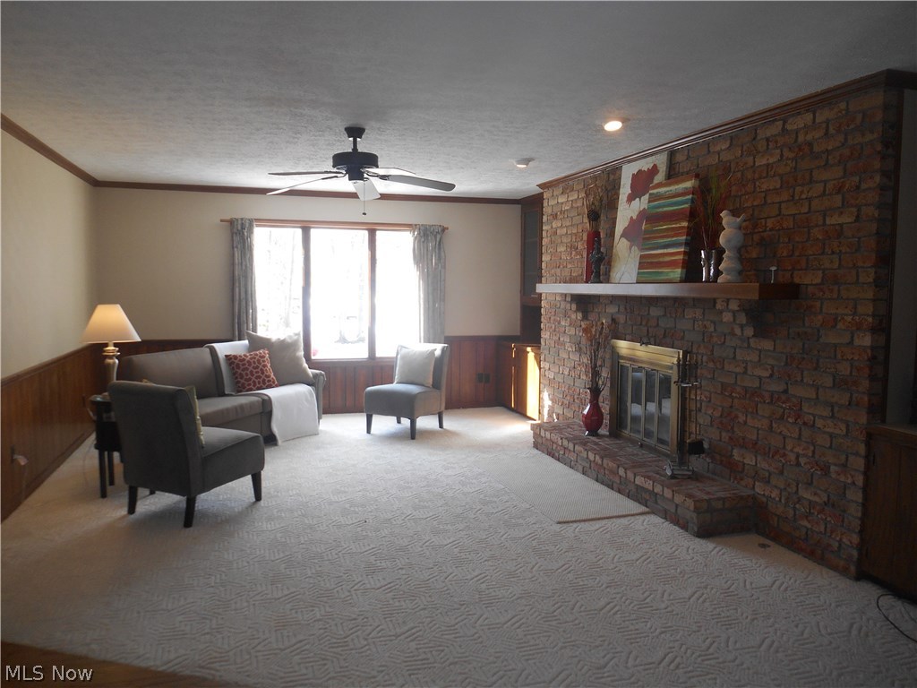 West Moor Allotment 03 - Residential