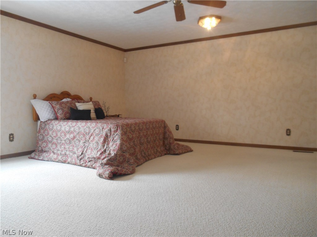 West Moor Allotment 03 - Residential