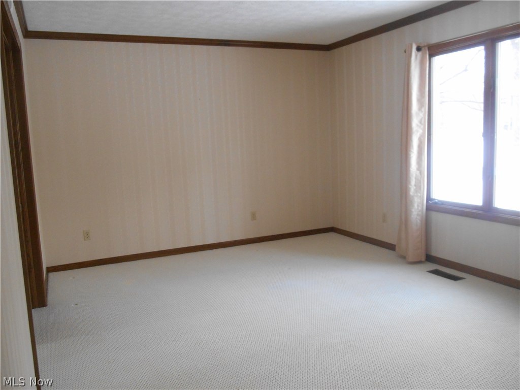 West Moor Allotment 03 - Residential