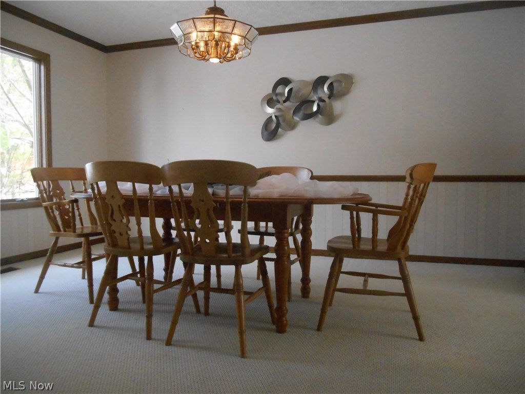 West Moor Allotment 03 - Residential