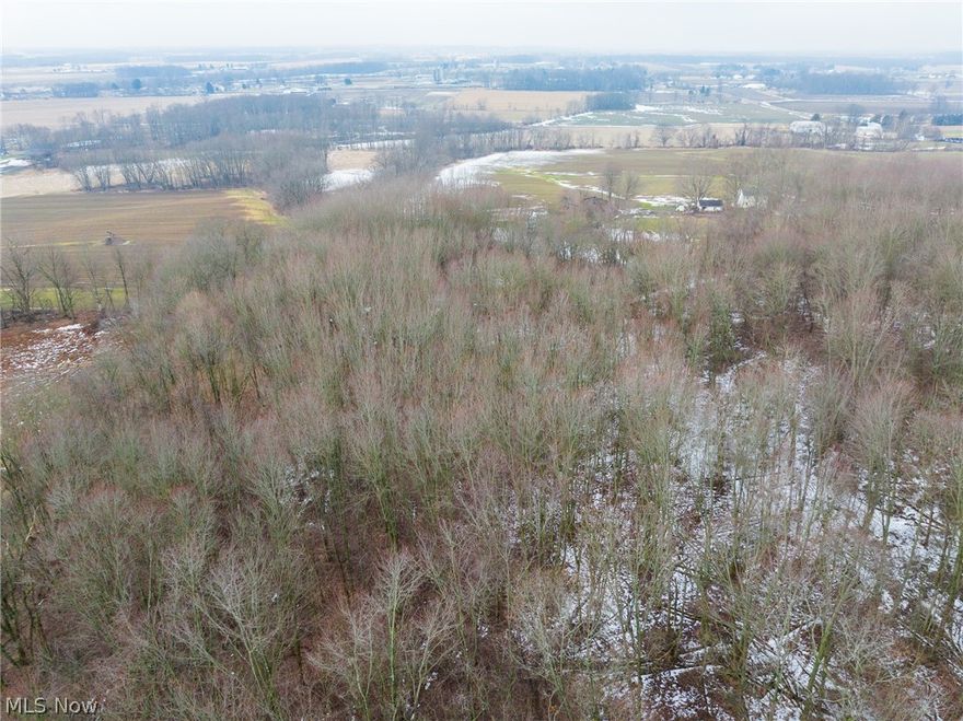 Onsite Live Auction Saturday, March 28th at 11:00 AM. 10.2 acres of land with 657’ frontage on Doylestown Rd, A nice big, wooded lot with a lot of options, build, hunt, invest, don't miss this one. Parcels 4 and 5 will share a 30’ access easement should they sell separately.