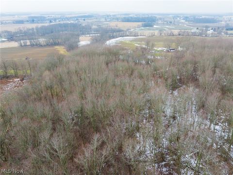 Vacant Land For Sale - 7389 Doylestown Road<br/> Wayne County, Sterling, OH 44276