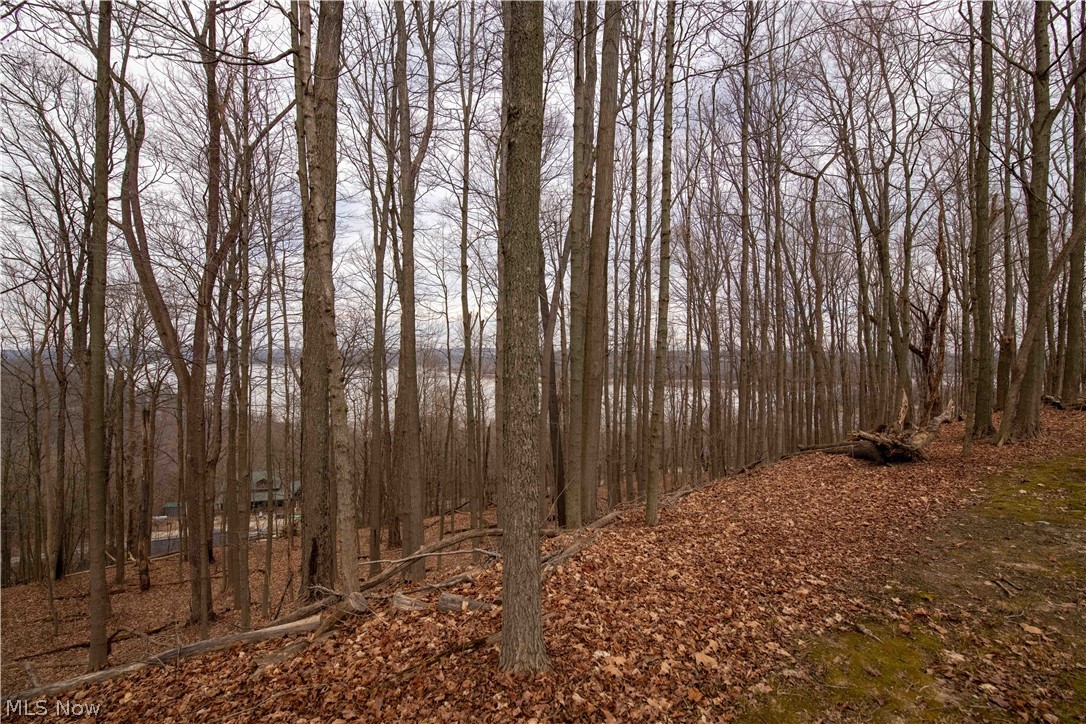 Lot 42 Briar Hill Estates, Senecaville, Ohio image 3