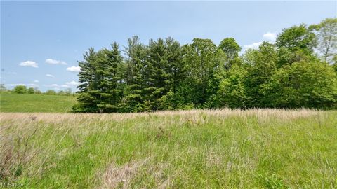 Vacant Land For Sale - 63660 Wintergreen Road<br/> Lore City, OH 43755
