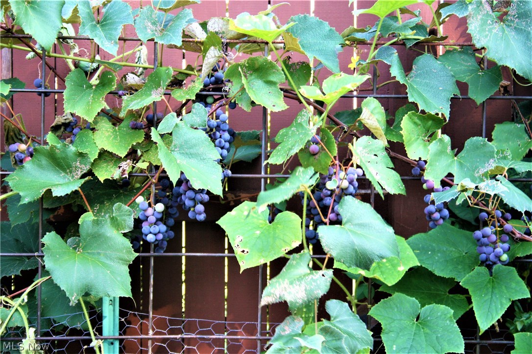 Rockmoor Lakes Sub - Residential