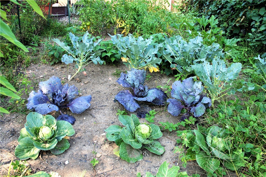 Rockmoor Lakes Sub - Residential