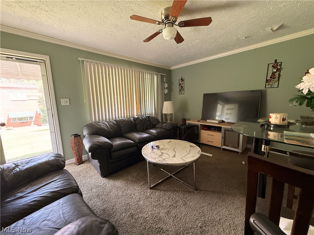 215 Dalepark Drive 1