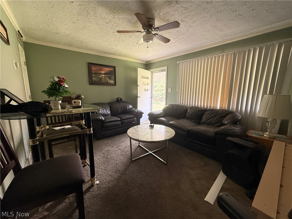 215 Dalepark Drive 1