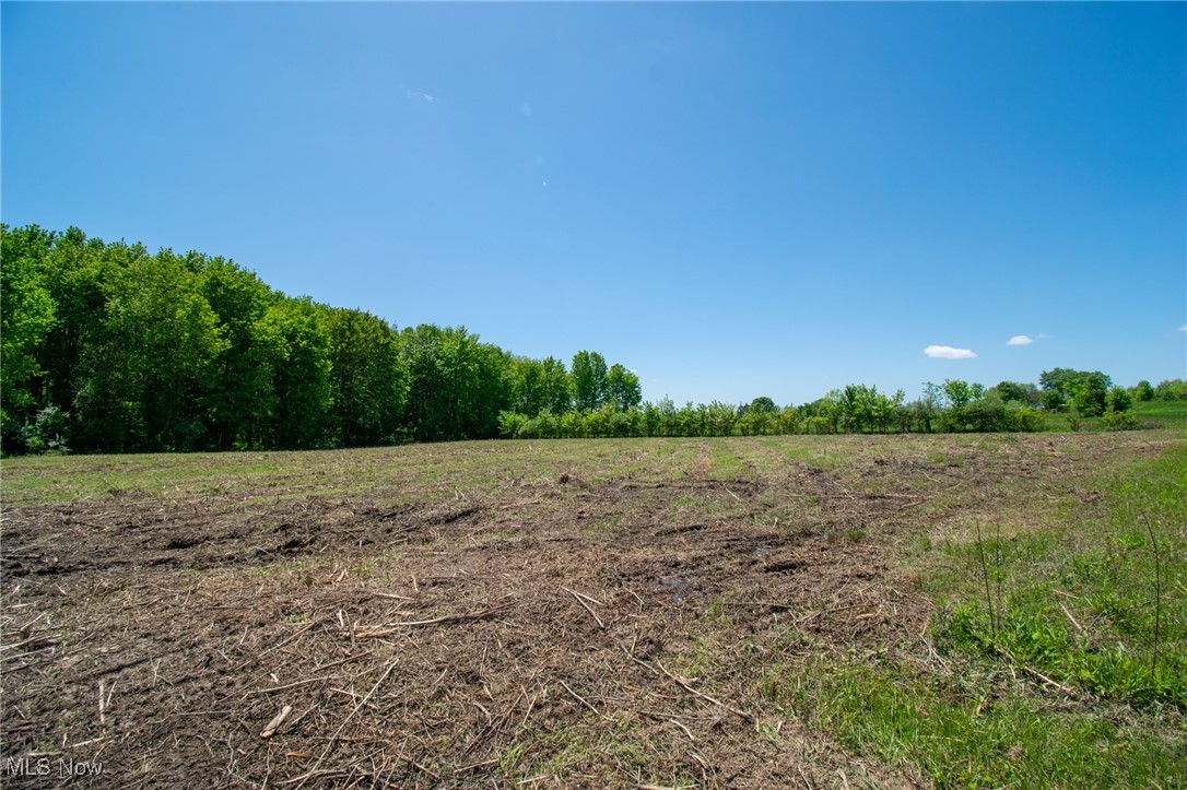Erwin Road, Jackson, Ohio image 13