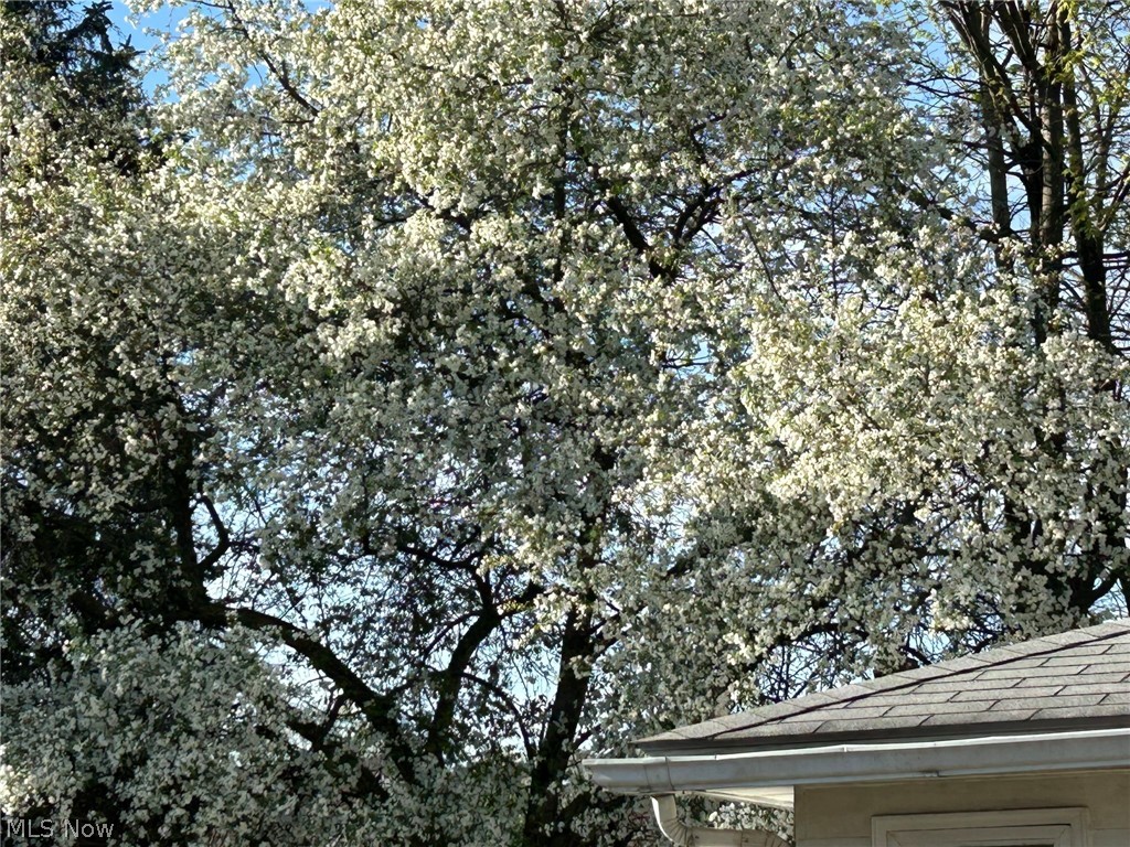 Brewster Arlington - Residential
