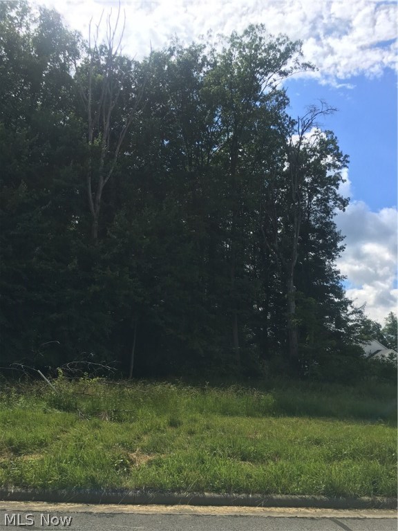 Bricker Farms 04 - Land