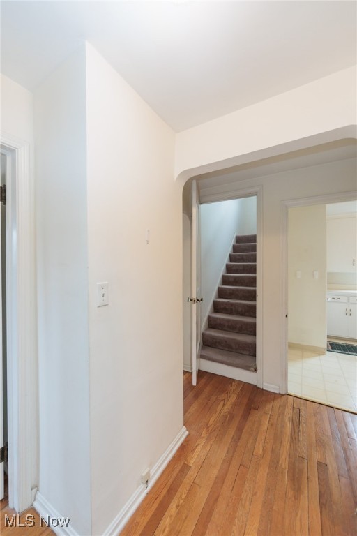 Ardmore - Residential Lease