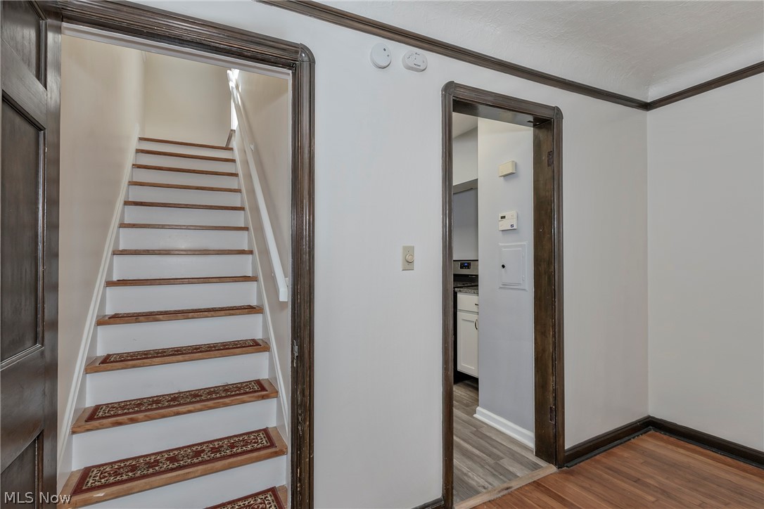 Potter - Residential