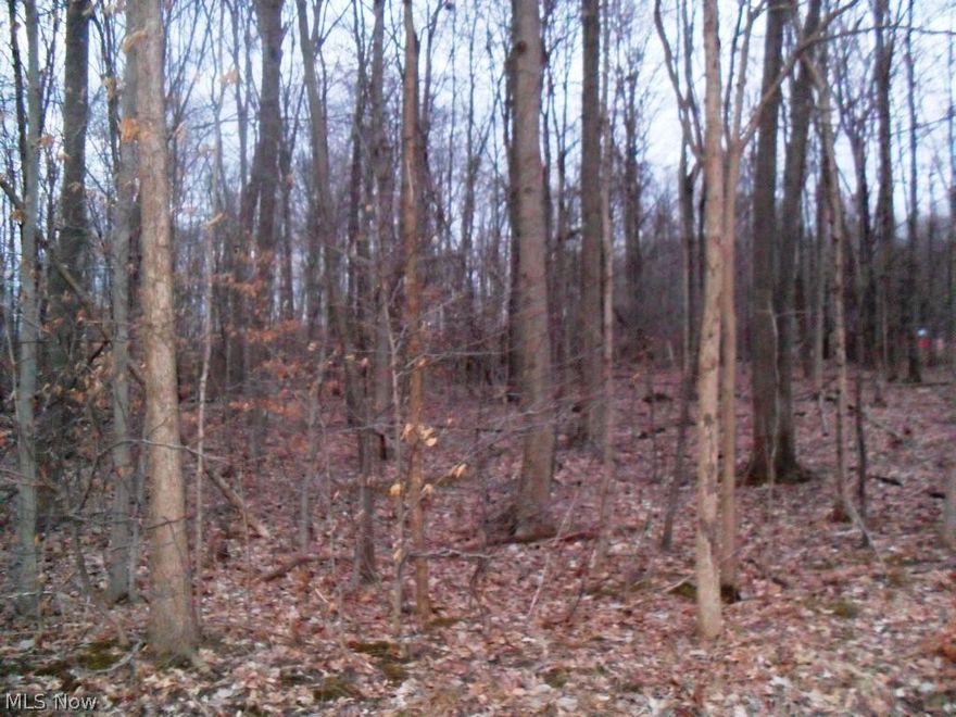 WOW! 2.25 acres located in a beautiful wooded setting in the country.  Convenient location to Routes 18, 5, 225, 14, & 76. Buyer is responsible for property information contained herein & property suitability for buyer intended purpose.