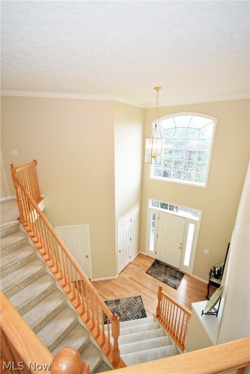 Springbrook Reserve - Residential