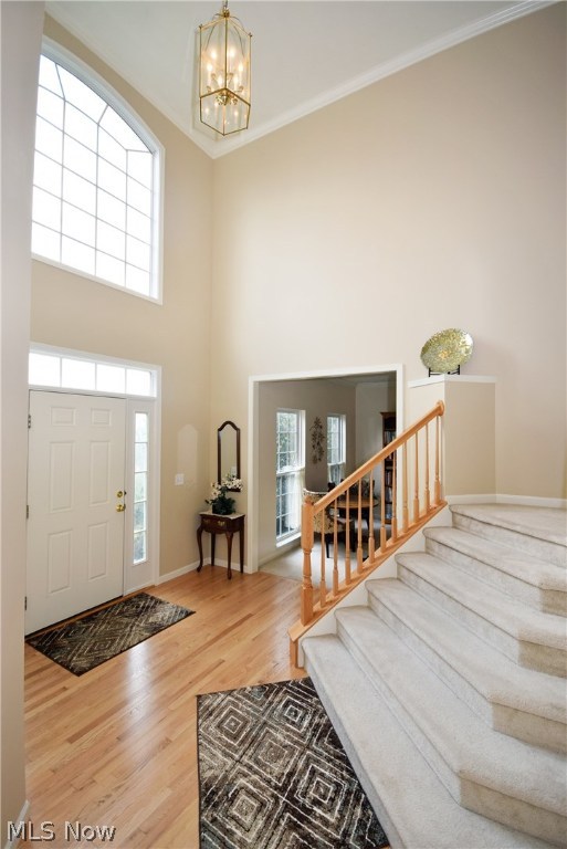 Springbrook Reserve - Residential