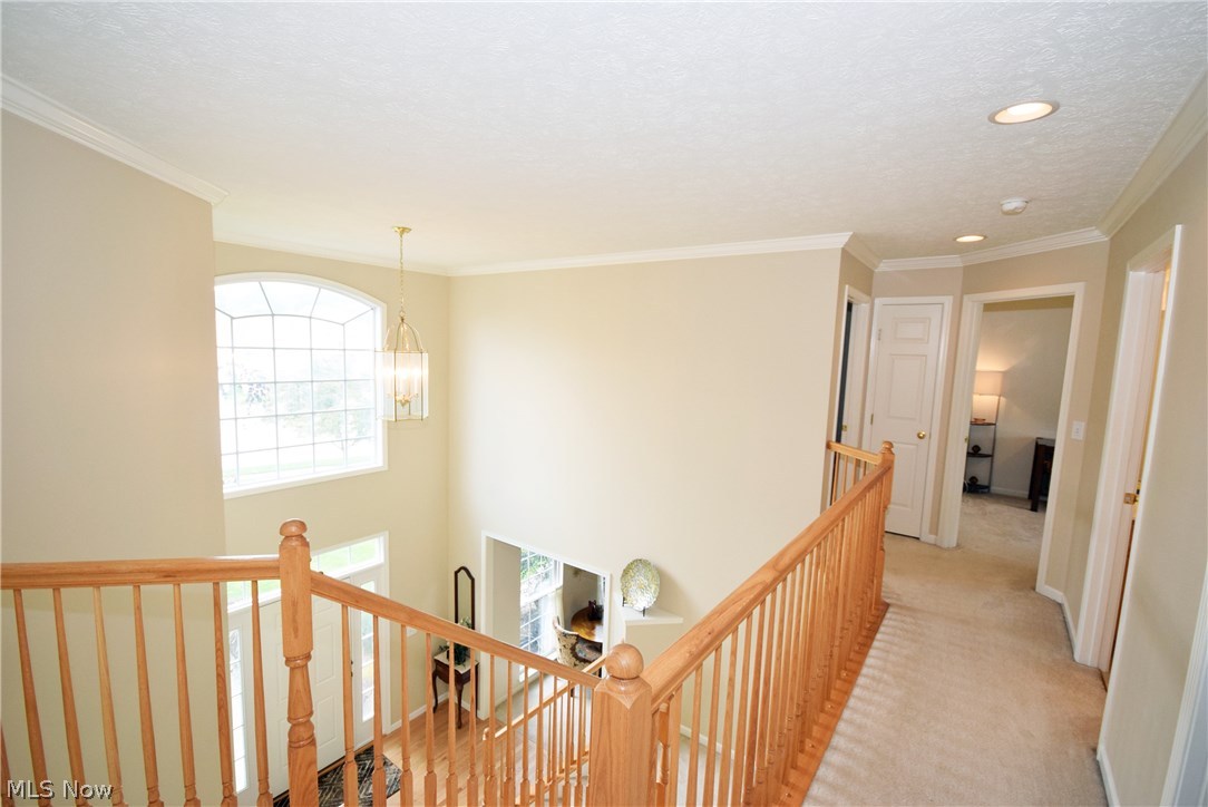 Springbrook Reserve - Residential